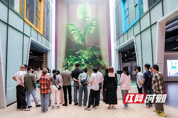 微信图片_20240426172517 (1).jpg 微信图片_20240426172517 (1).jpg