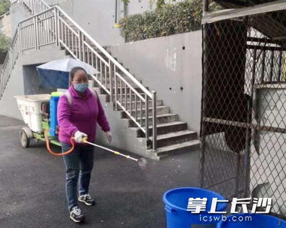 马博网站工作人员对校区进行消毒。
